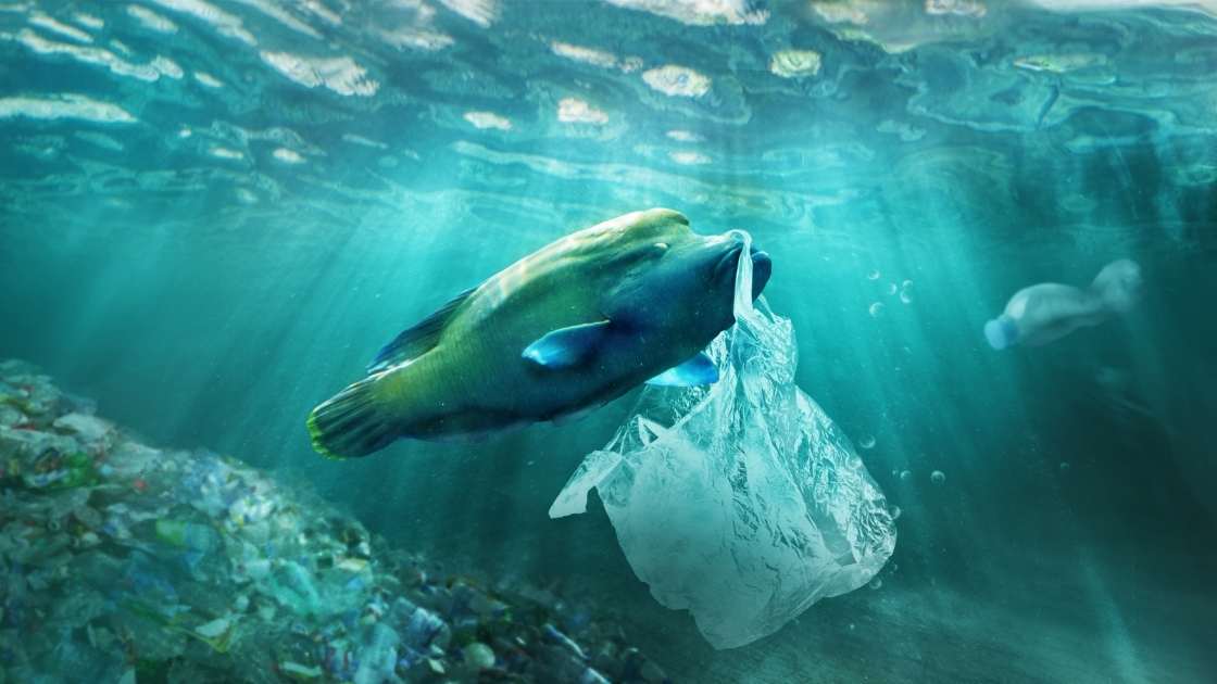 UN environment assembly resolves to end plastic pollution - The ...